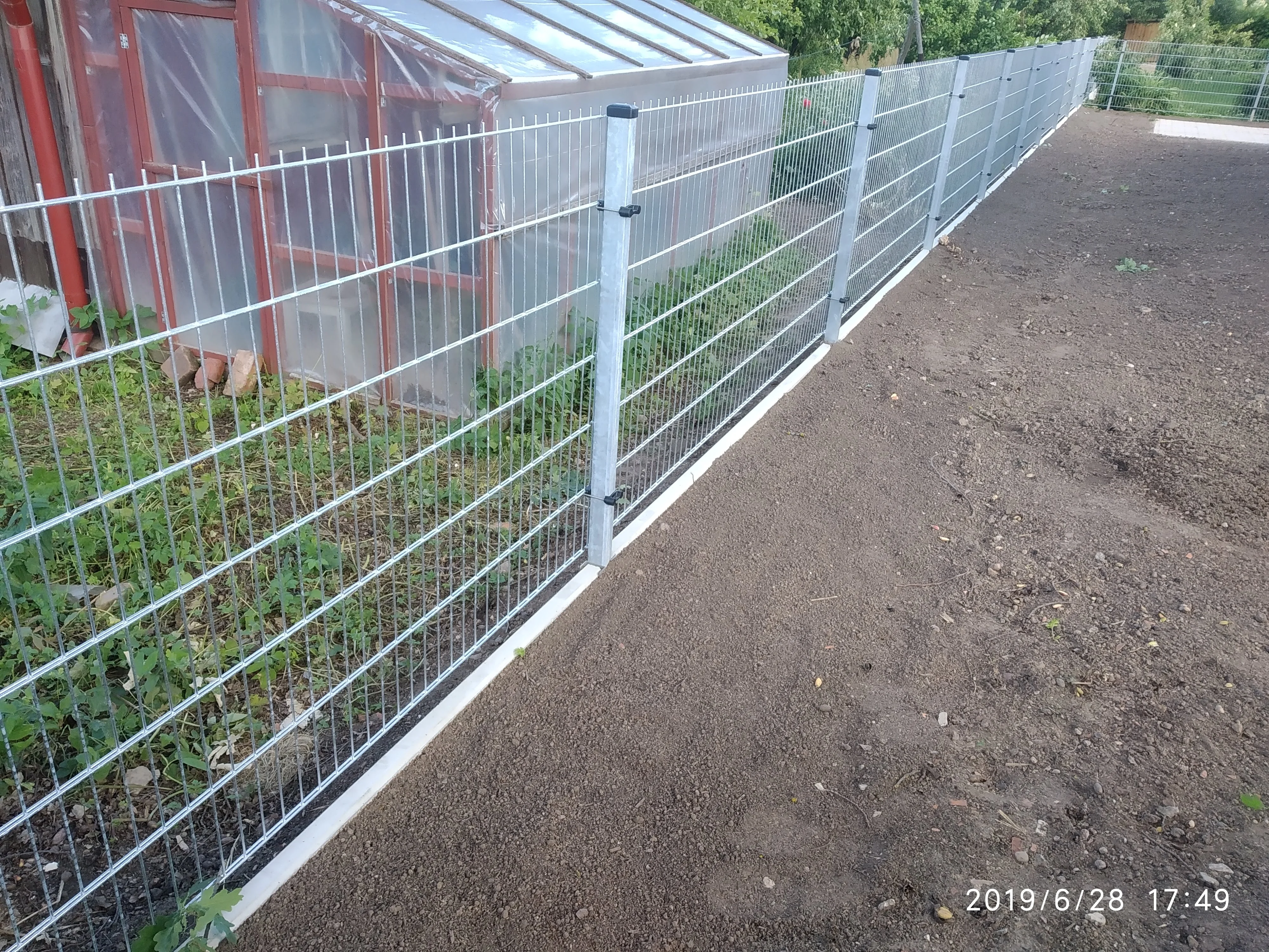 Keevispaneel - tsingitud traatpaneelaed kasvuhoone kõrval aiamaal