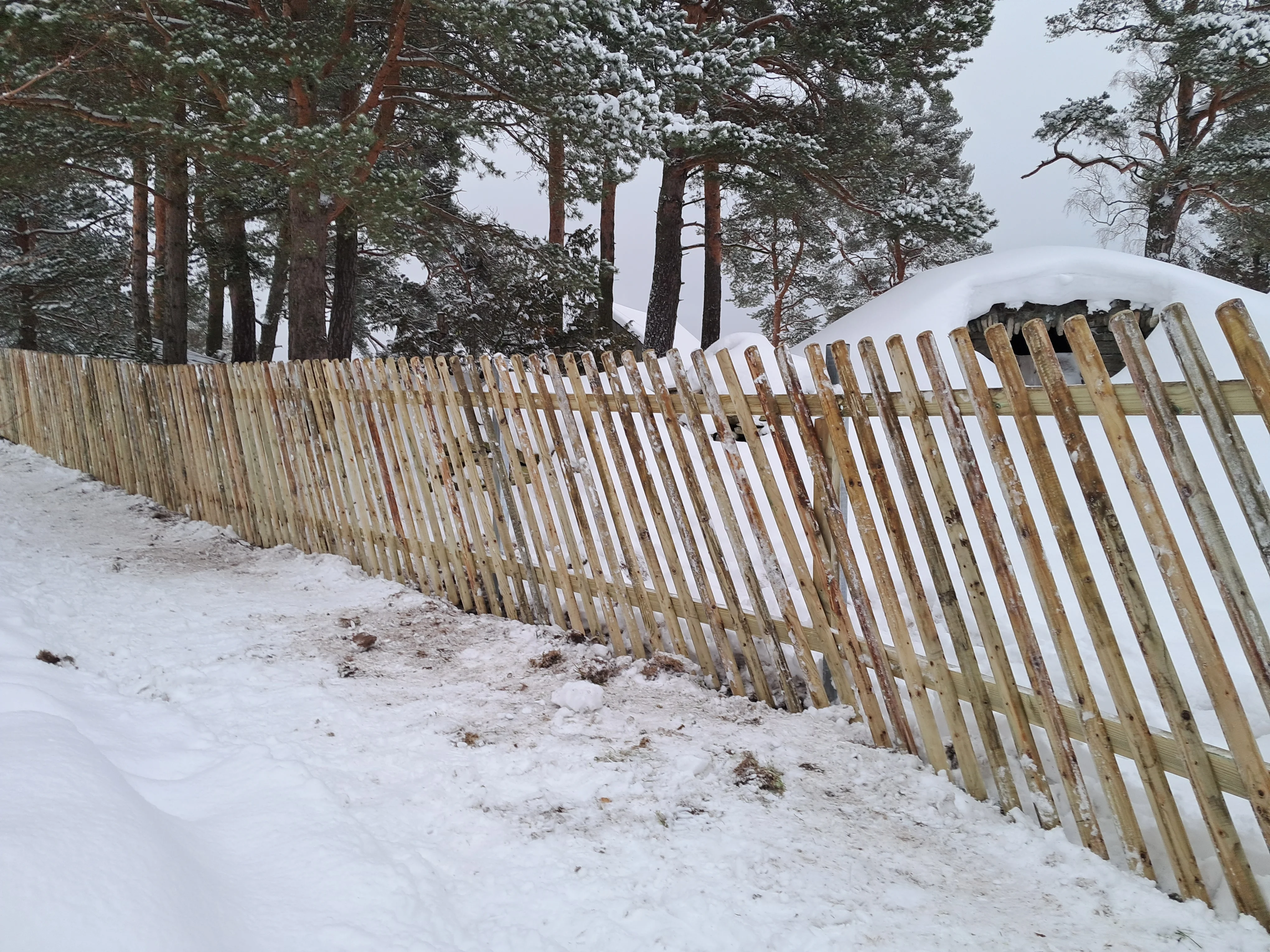 Puitaed - vertikaalne pruun puitaed jalakäijaväravaga talvel