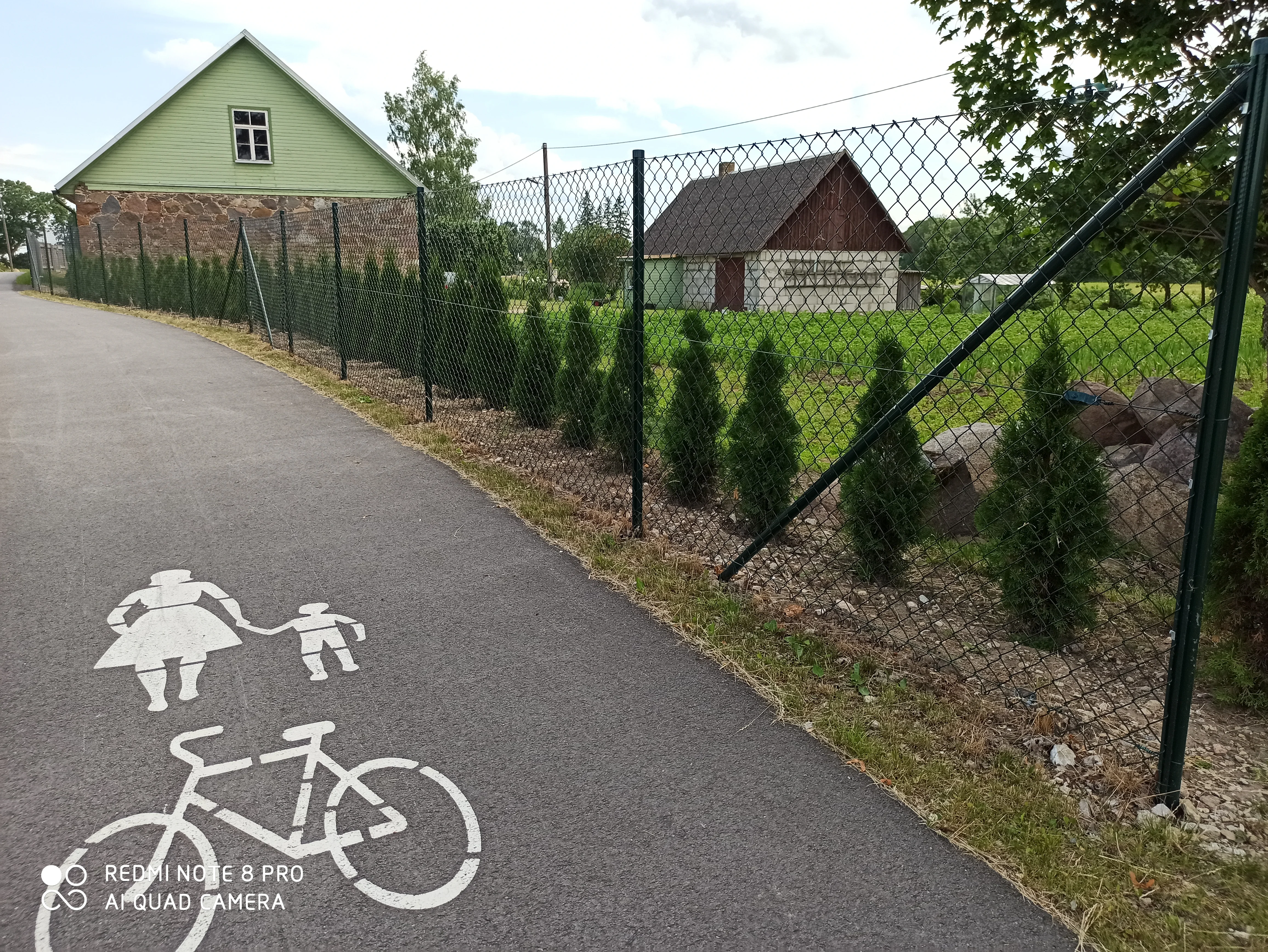 Vorkaed - roheline traataed postidega maantee ääres jalgrattateega