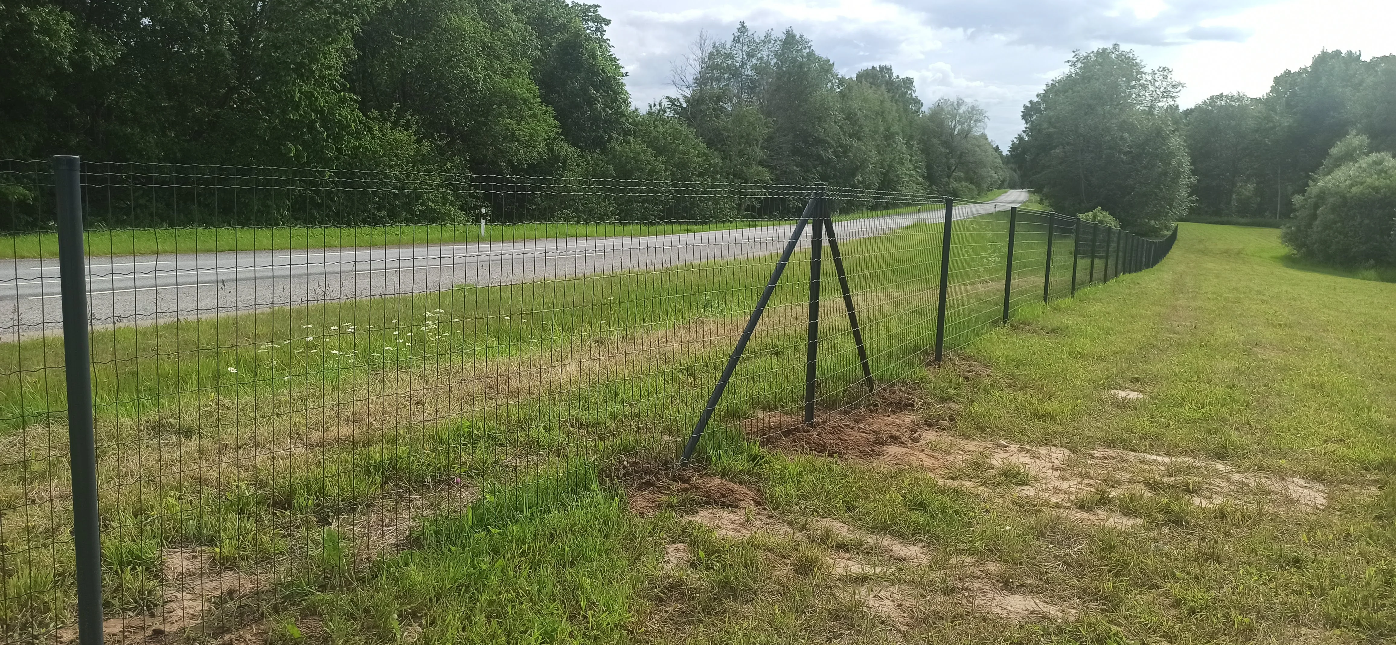 Vorkaed - roheline traataed postidega maantee ääres maakohas